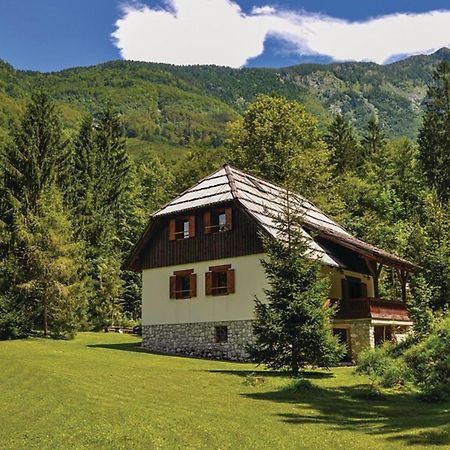 Chalet Primus Near Soca Gorge - Happy Rentals Esterno foto