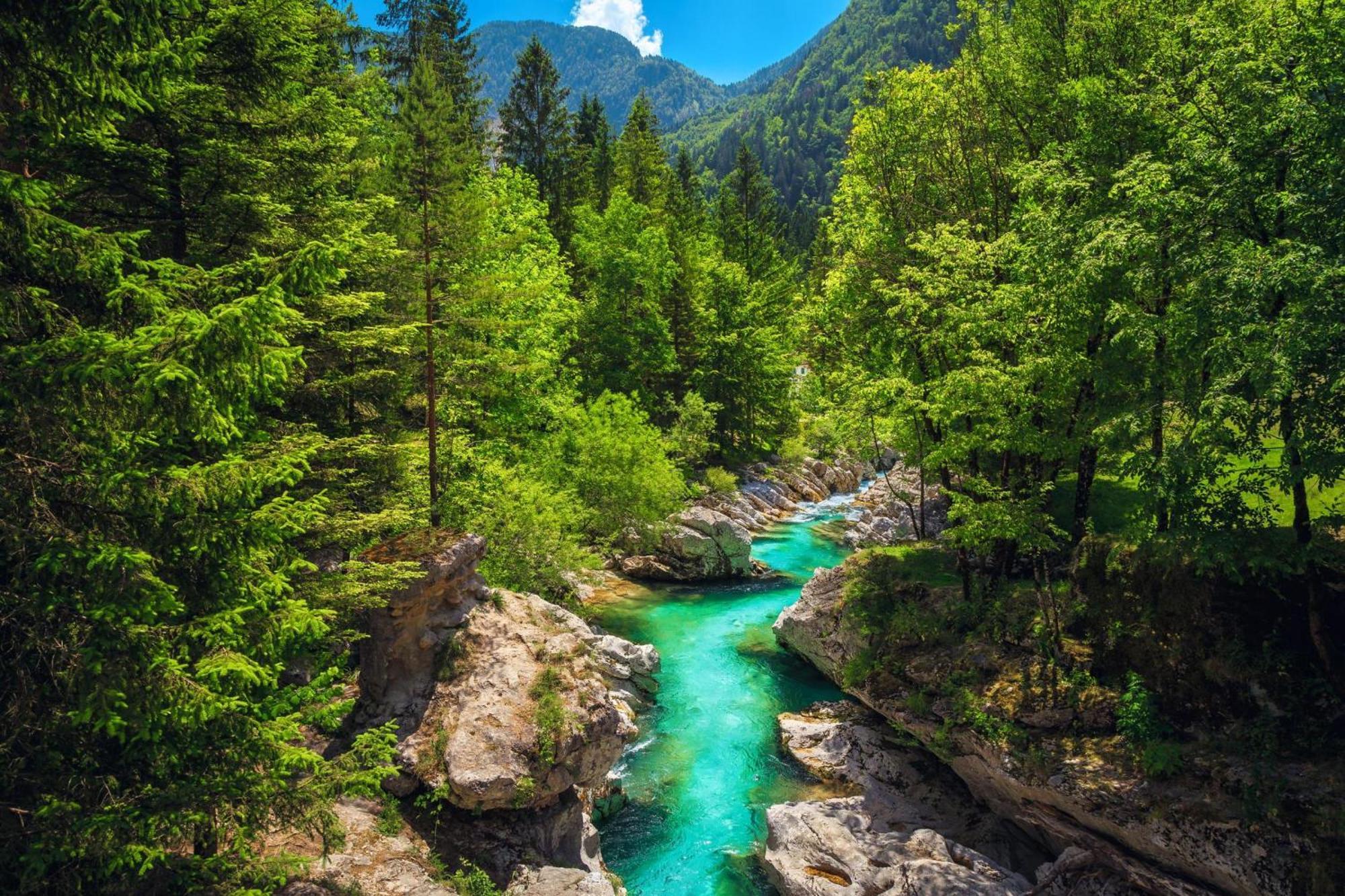 Chalet Primus Near Soca Gorge - Happy Rentals Esterno foto
